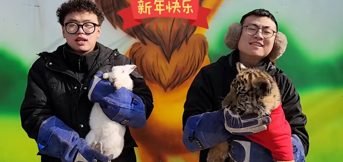 ▲祝兔年逢凶化吉，否极泰来，有菜有肉。图片来自山西临汾电视台新闻节目。