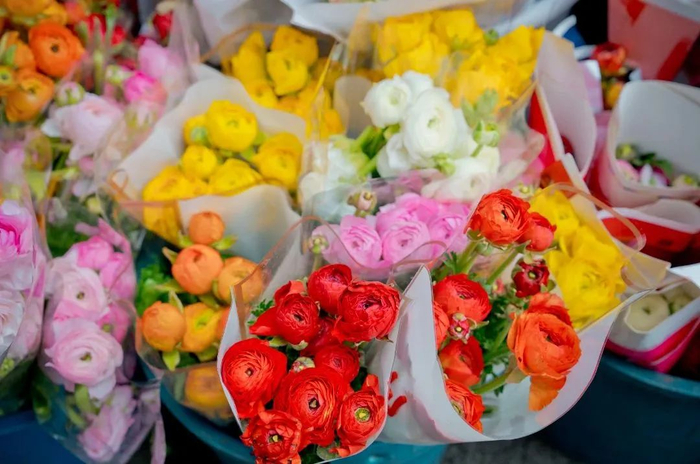 七星路花市里的鲜花琳琅满目。