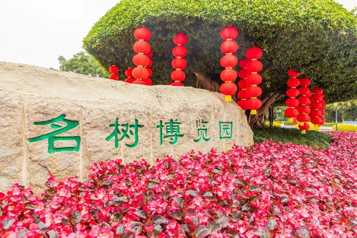 南湖公园名树博览园鲜花盛开。