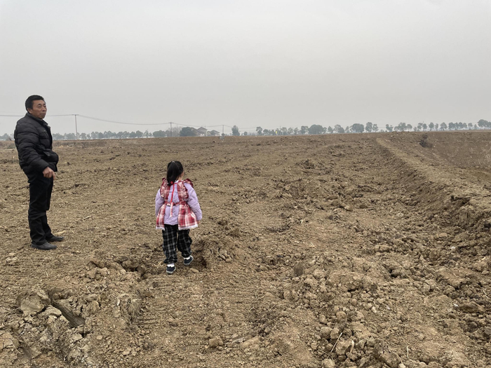 正在施工的“小田改大田”，昔日小块农田已不在，被连成一片，土地也被整平。新京报记者 罗道海 摄