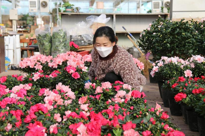 商户在永清恒美国际花都整理鲜花。 （受访者供图）
