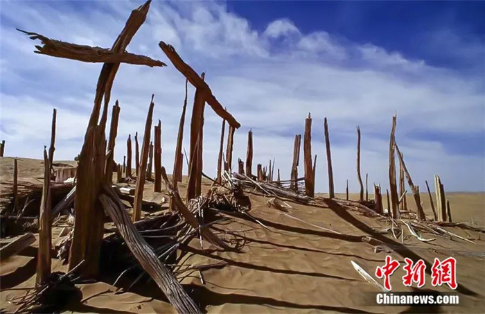 出土“五星锦”的尼雅遗址。新疆文物考古研究所供图