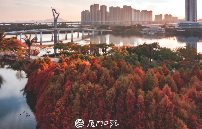 本报记者 林铭鸿 摄