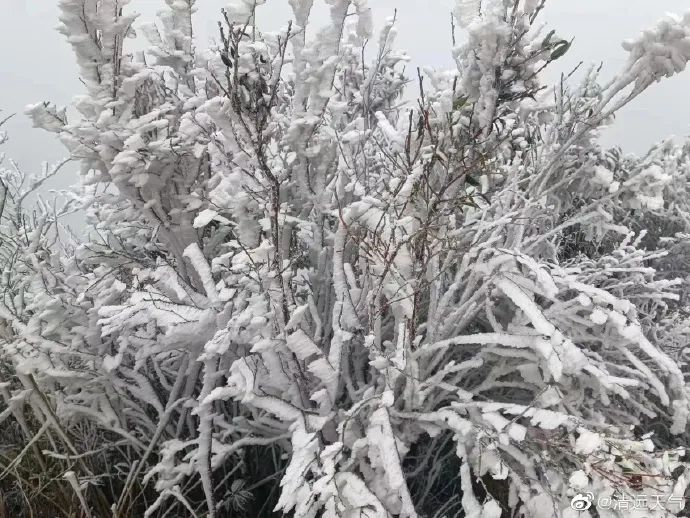 拍摄于阳山广东第一峰