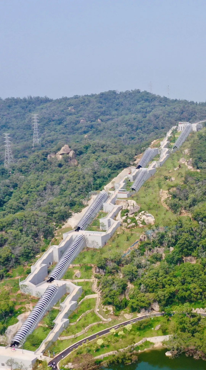 厦门晚报记者 陈嘉新 摄