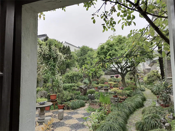 周瘦鹃生前打理的园林