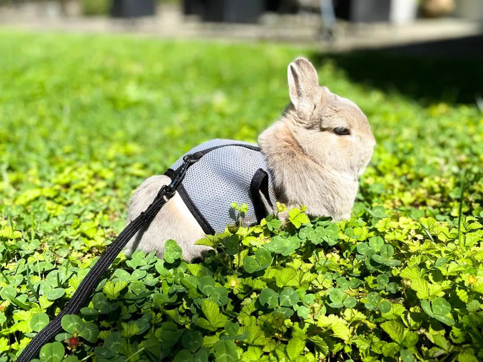 图片来源：视觉中国