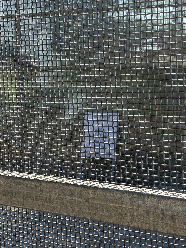 姐告国门附近立起的铁丝网后，还有一块场所码标识贴在第二道栅栏上，澎湃新闻记者 陈灿杰 图