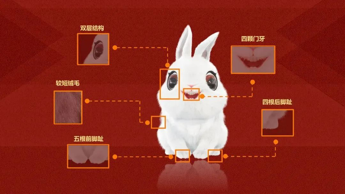 图片来源：央视新闻