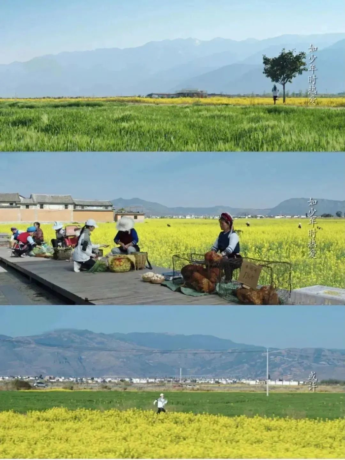 《去有风的地方》剧照截图