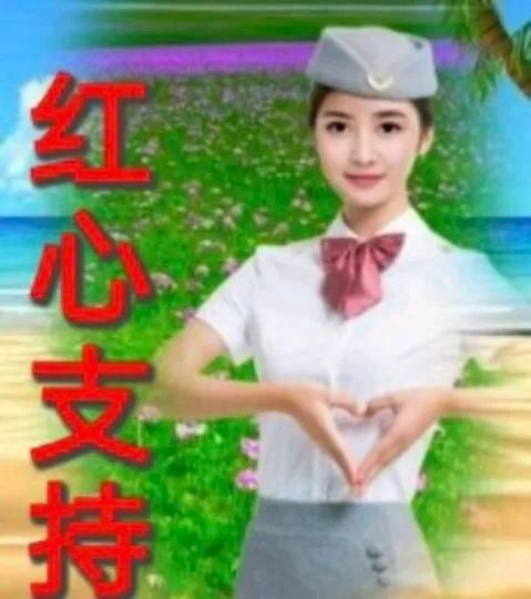 表情包又更新了 大脑一片空白 美女真漂亮 这位美女行行好……|女朋友|搬砖|宝宝|微微|红心_新浪娱乐_新浪新闻