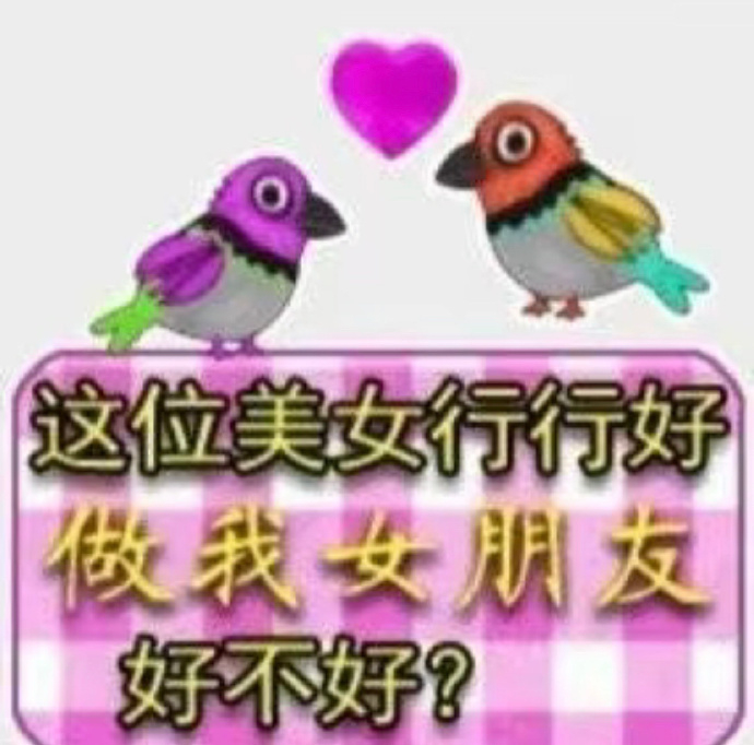 表情包又更新了 大脑一片空白 美女真漂亮 这位美女行行好……|女朋友|搬砖|宝宝|微微|红心_新浪娱乐_新浪新闻