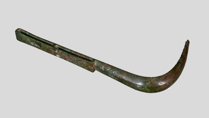 刮身板，庞贝，青铜，1世纪