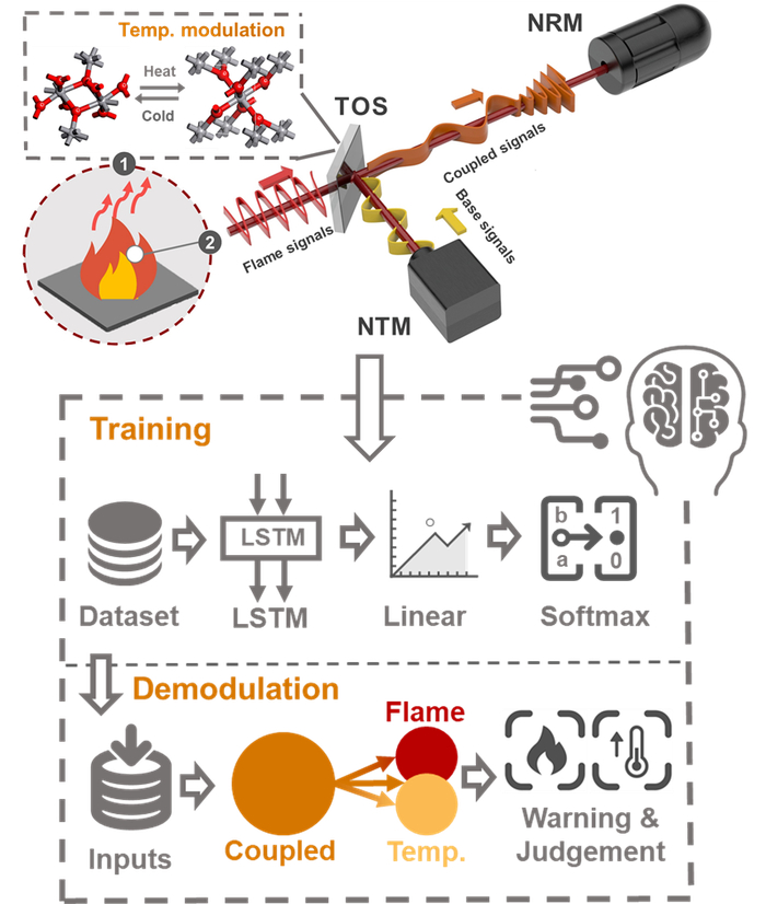 （来源：Advanced Functional Materials）