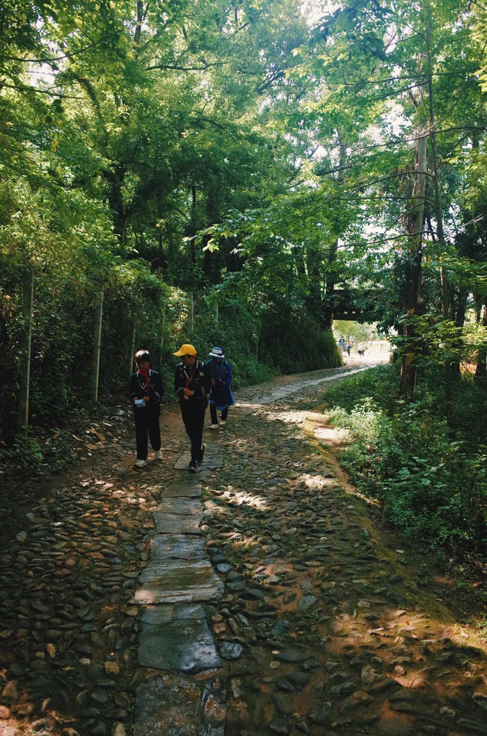△附近的人们行过茶马古道
