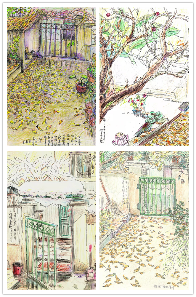 妈妈的小院系列画