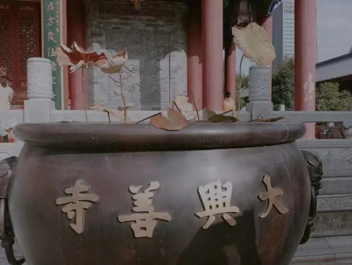 Aoli很喜欢大兴善寺大殿门前的这一池莲花。/受访者供图