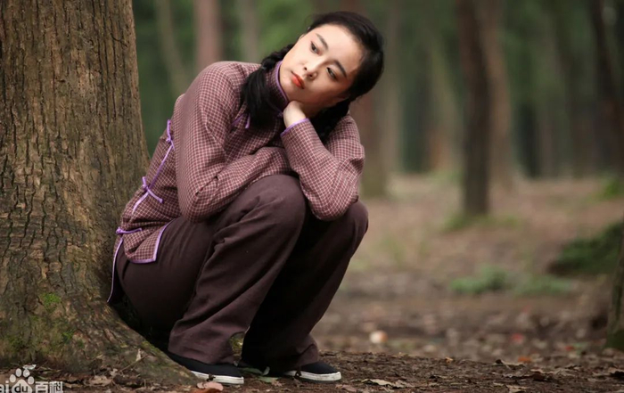 ▲高叶在电影《山楂树之恋》中