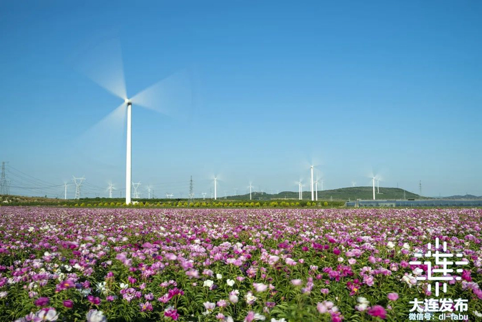 ▲驼山风电