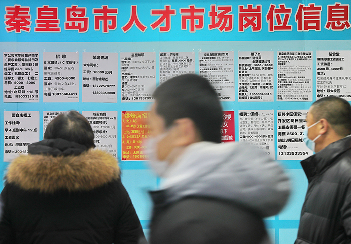 2023年1月28日，河北省秦皇岛市，聚贤人才市场内，求职者正在了解求职招聘信息。曹建雄 摄