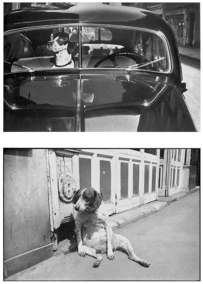 1951年，艾略特·厄韦特 摄（上）1974年，理查德·卡尔瓦 摄（下）