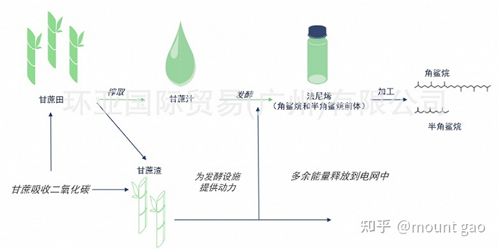 Amyris以甘蔗为原料发酵合成角鲨烷（图片来源于知乎@mount gao）