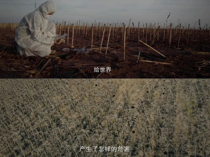 《三体》截图。