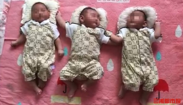 刚出生的三胞胎小宝宝。