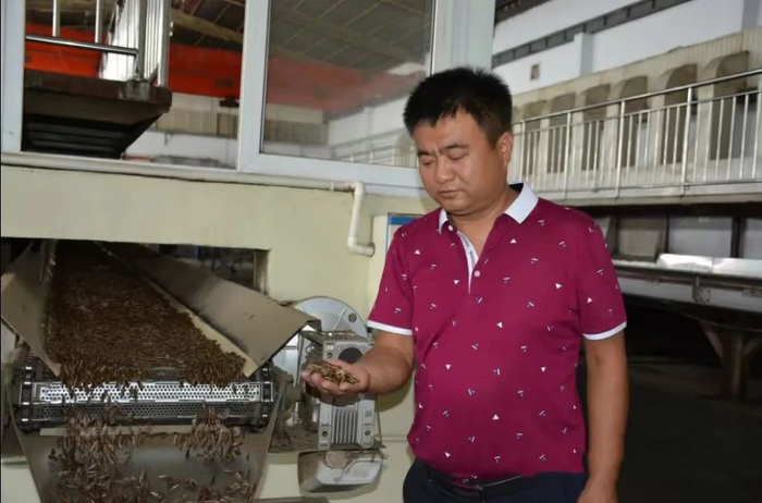 （炒货生产线上的岳成）