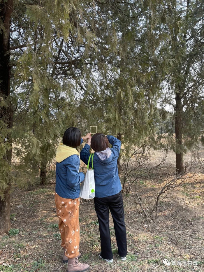 △专技人员统计花粉量