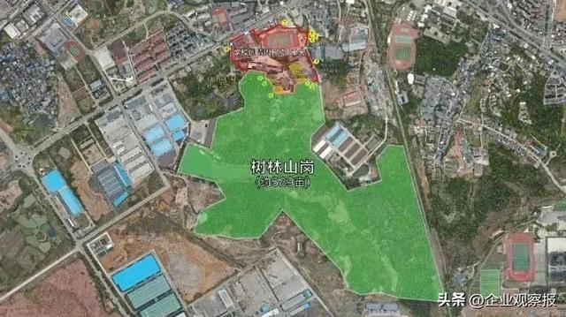 此前江西警方公布的胡某宇失踪案发校园航拍画面截图 江西警方供图