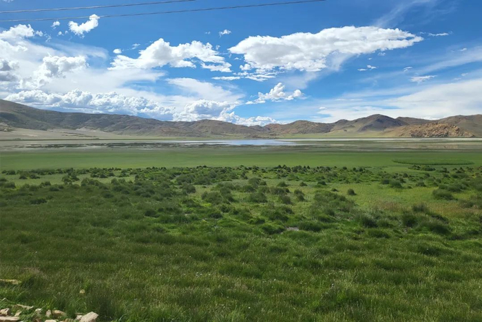 整改后的南木拉湿地风光