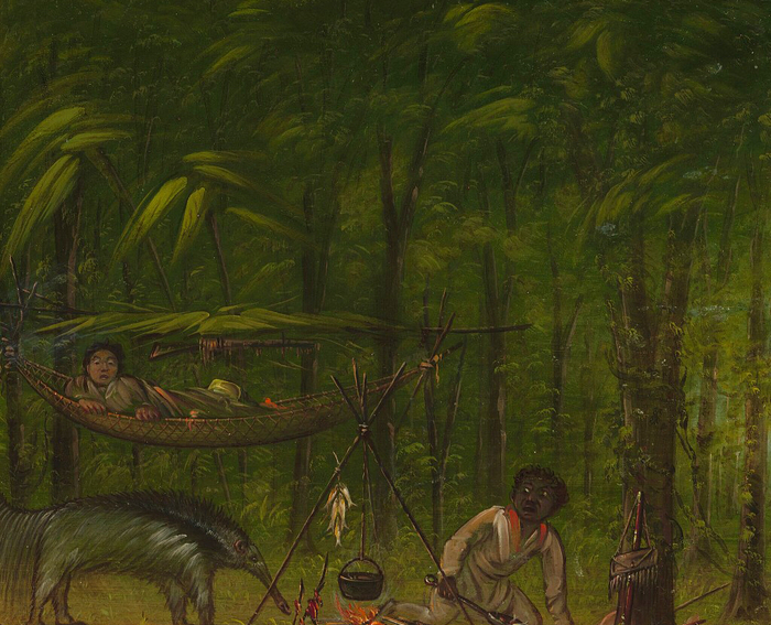 亚马孙雨林中的土著人，1854年-1869年。