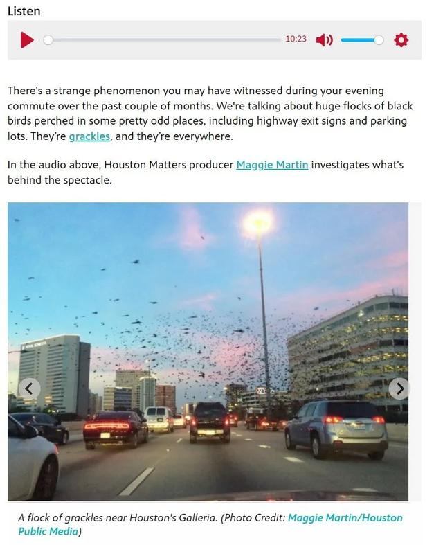 休斯顿公共媒体（Houston Public Media）的相关栏目截图