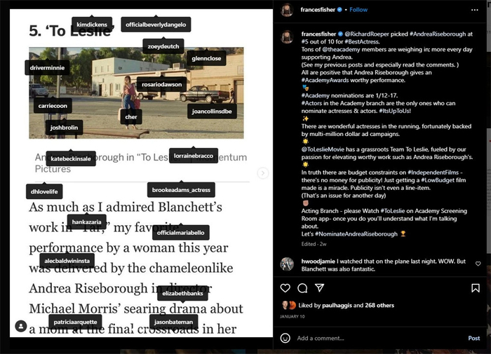 弗兰西丝·费舍在个人社交媒体为赖斯伯勒拉票。