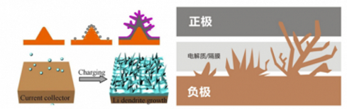 资料来源：重庆金美