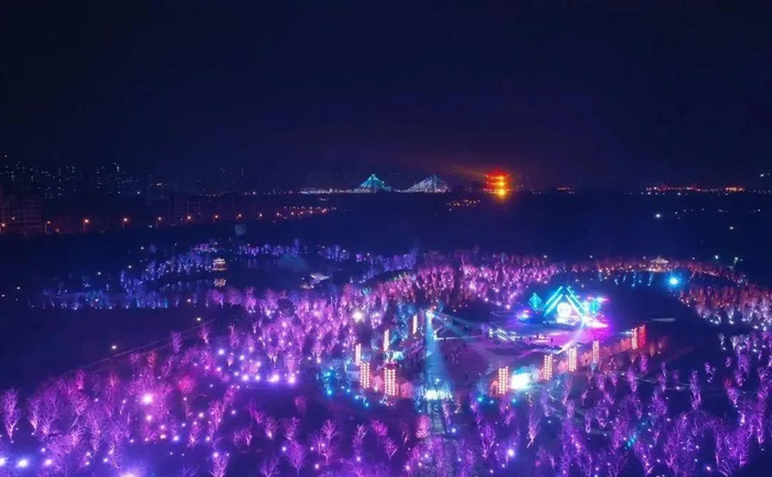 青秀山新春樱花灯会。图源：南宁晚报