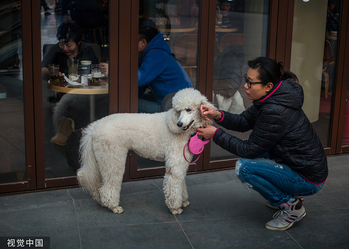 2015年2月24日，一位女士带着狗狗在三里屯酒吧外面等着朋友。潘松刚/人民视觉 图