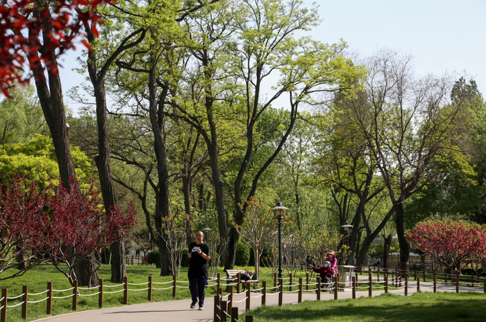 全龄友好型公园（人定湖公园，资料图）