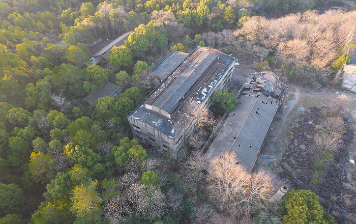 2023年1月30日，江西上饶，金鸡山上树林里破败的厂房。视觉中国 图