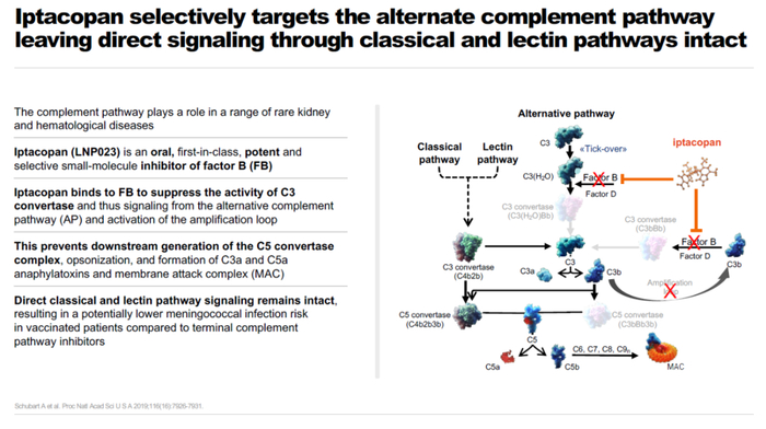 ▲Iptacopan简介（图片来源：诺华公司官网）