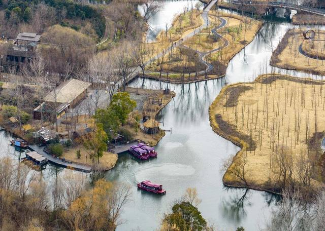 2023年2月2日,麋鹿群在江苏省泰州市姜堰区溱湖国家湿地公园内活动.