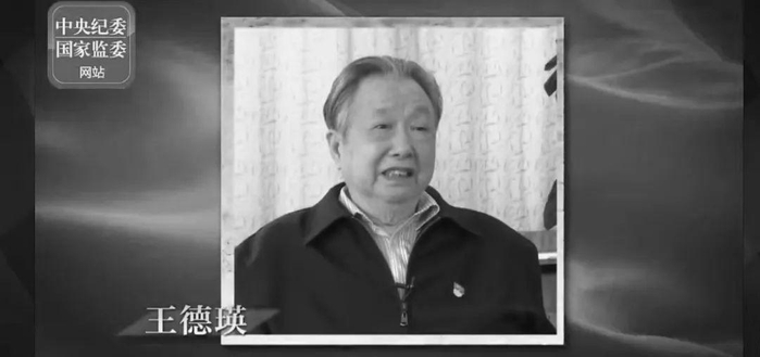 （图片来源：中央纪委国家监委网站）