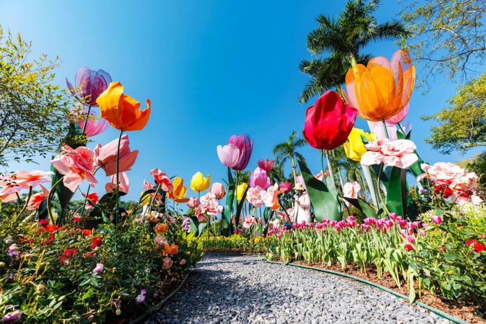 图/白云山风景名胜区