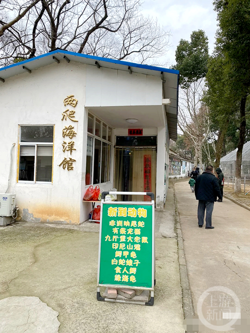 网友爆料称安庆市动物园有九斤重大老鼠。&nbsp; 图片来源：网络