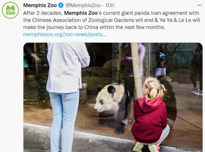 孟菲斯动物园的公告截图