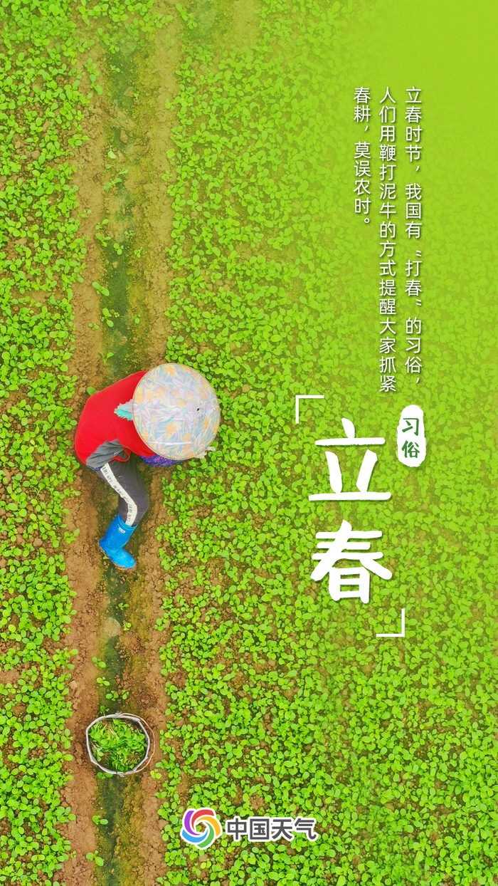 泥牛鞭散六街尘，生菜挑来叶叶春。——《立春》·王镃