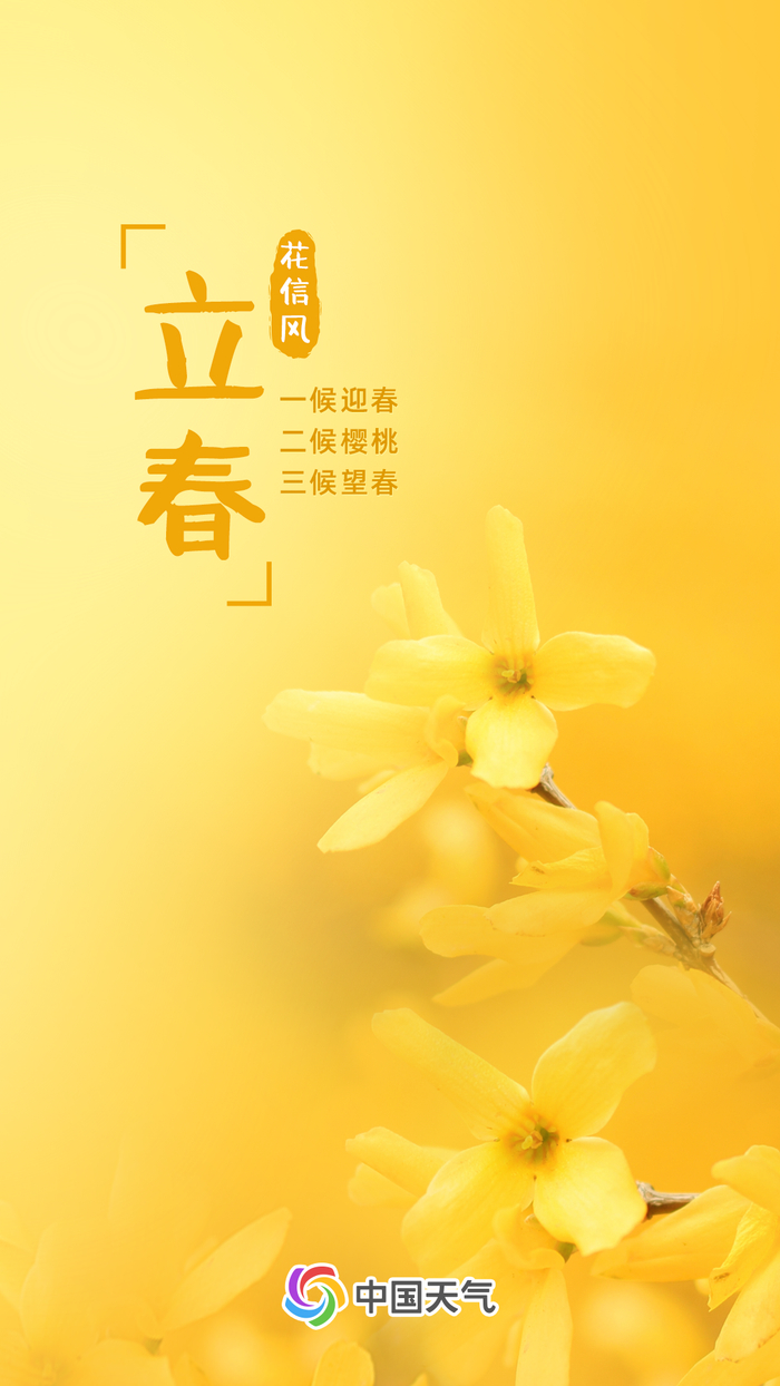 从此雪消风自软，梅花合让柳条新。——《立春》·王镃