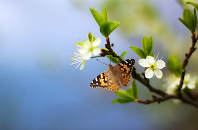 图片来源：视觉中国