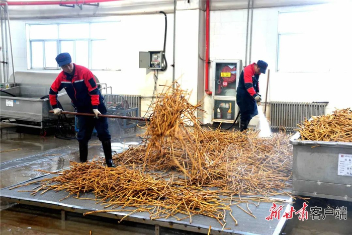       生产车间里工作人员有序忙碌着。新甘肃·甘肃日报通讯员 崔翔龙 摄